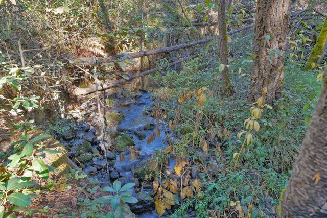 27258 Columbia Dr, Pioneer, CA 95666