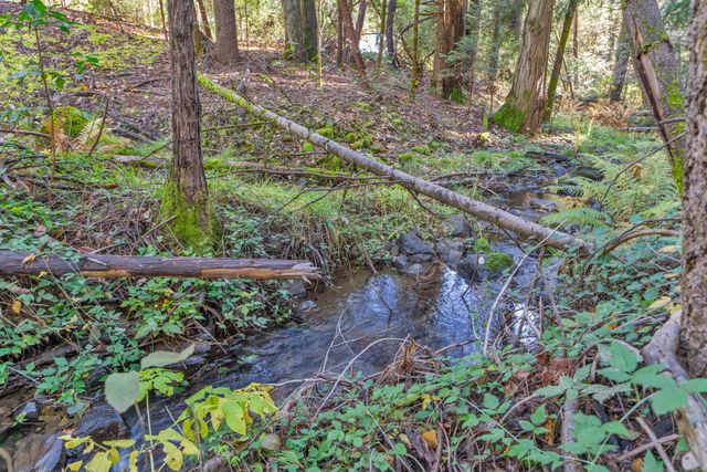 27258 Columbia Dr, Pioneer, CA 95666