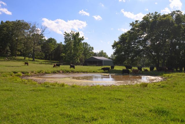 0 Coles Ferry Pike, Lebanon, TN 37087