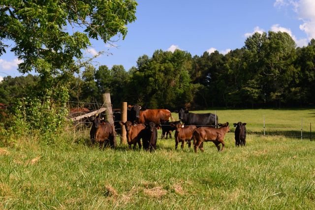 0 Coles Ferry Pike, Lebanon, TN 37087