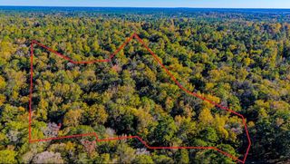 TBD Rolling Ridge Road, Goodrich, TX 77335