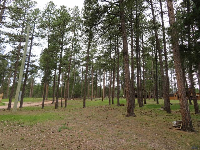 12772 BLACK FOREST DR, Rapid City, SD 57702