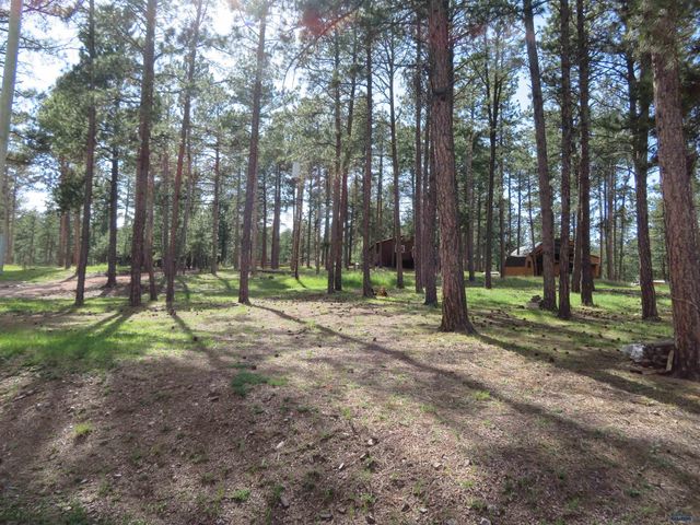 12772 BLACK FOREST DR, Rapid City, SD 57702