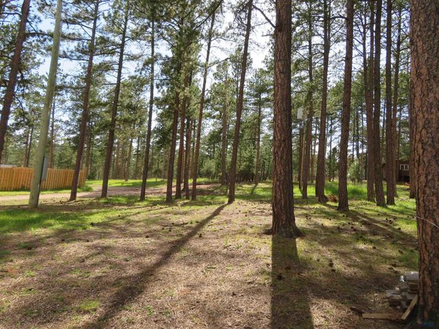 12772 BLACK FOREST DR, Rapid City, SD 57702
