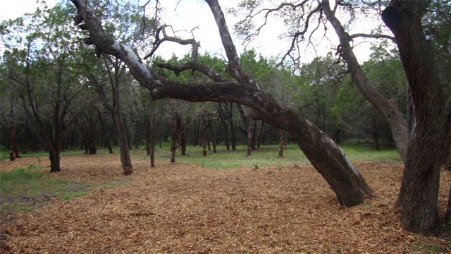 36 Travis Oaks DR, Marble Falls, TX 78654