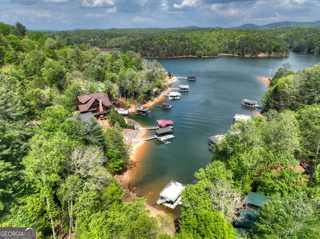 1601 Shady Falls Road, Blue Ridge, GA 30513