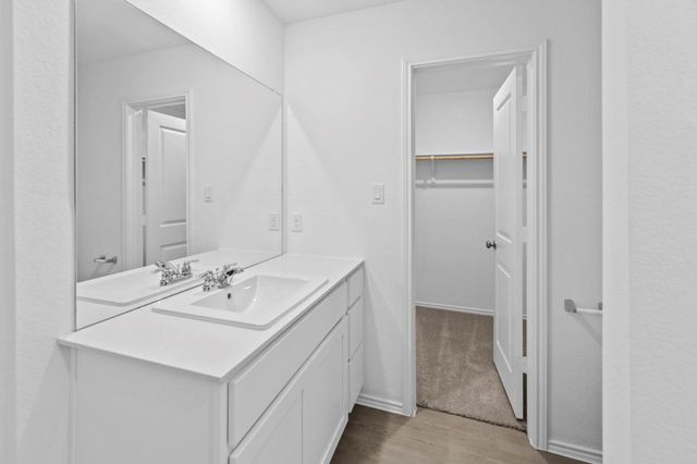 245 Ammolite Ln, Maxwell, TX 78656