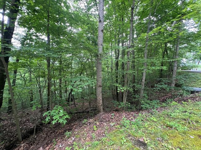 0 Ash Branch Circle, Hayesville, NC 28904