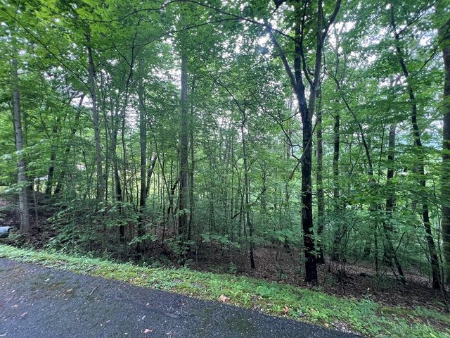 0 Ash Branch Circle, Hayesville, NC 28904