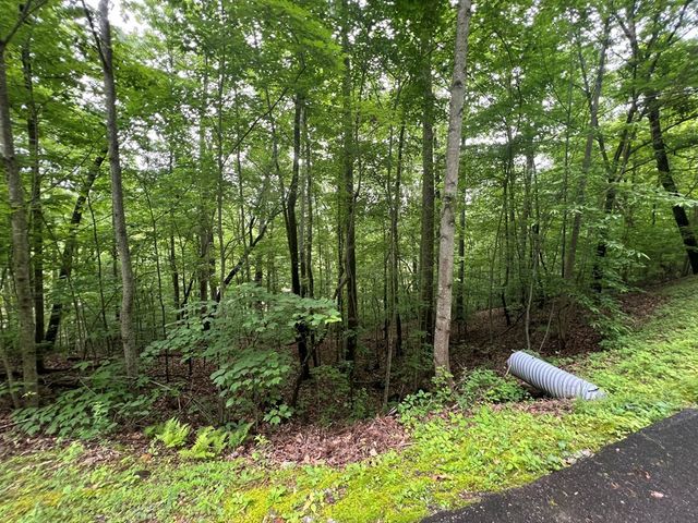 0 Ash Branch Circle, Hayesville, NC 28904