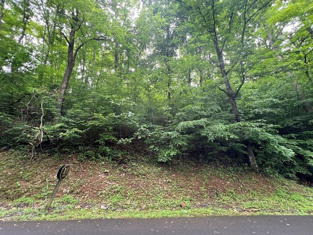 0 Ash Branch Circle, Hayesville, NC 28904