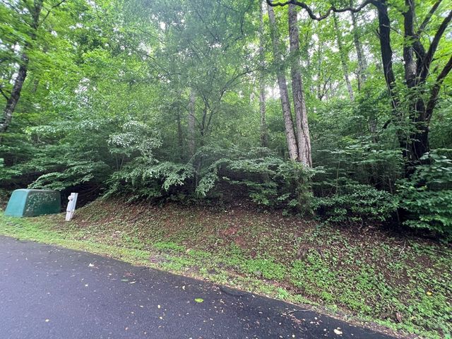 0 Ash Branch Circle, Hayesville, NC 28904