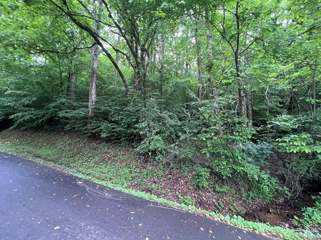 0 Ash Branch Circle, Hayesville, NC 28904