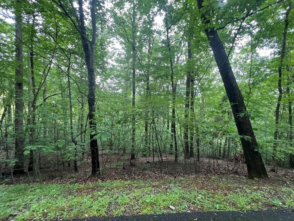 0 Ash Branch Circle, Hayesville, NC 28904