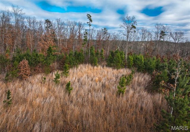 3627 County Road 2120, Rolla, MO 65401