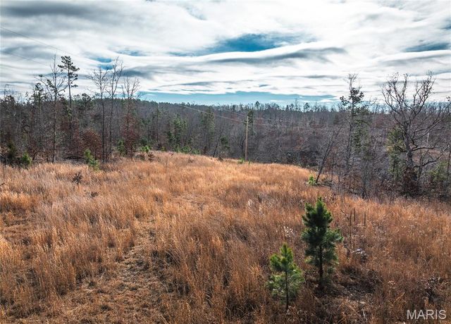 3627 County Road 2120, Rolla, MO 65401