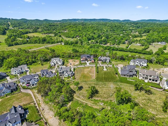 9120 Sawtooth Ln, College Grove, TN 37046