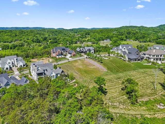 9120 Sawtooth Ln, College Grove, TN 37046