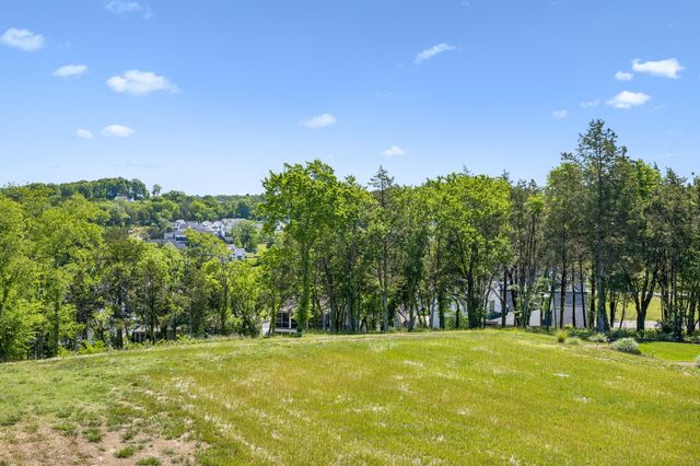 9120 Sawtooth Ln, College Grove, TN 37046