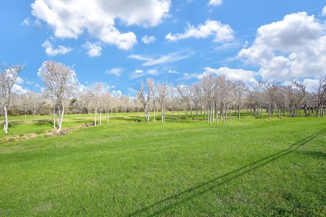 33010 Franklin Brooks Drive, Brookshire, TX 77423