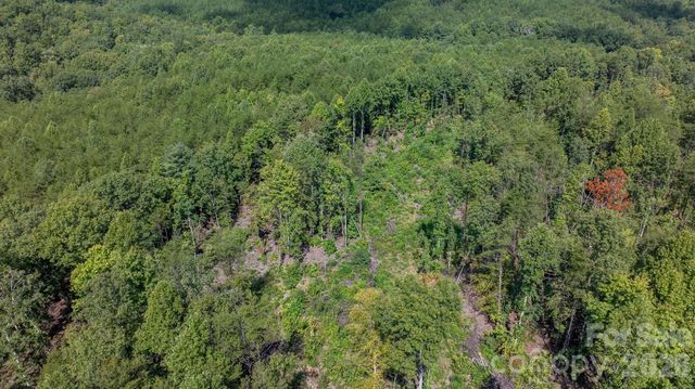 817 Drucilla Church Road, Nebo, NC 28761