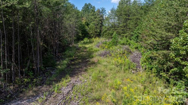 817 Drucilla Church Road, Nebo, NC 28761