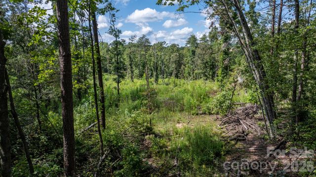 817 Drucilla Church Road, Nebo, NC 28761