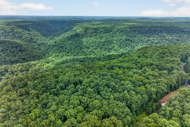 378 Parkside Ln, Spencer, TN 38585