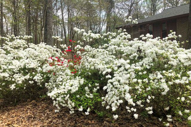 132 Rosecrest Road, Spartanburg, SC 29303