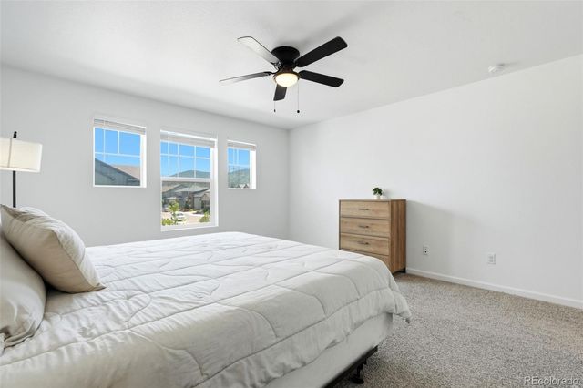9915 Matchless Street, Littleton, CO 80125