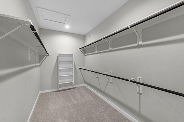 1703 Pecan Woods Lane, Conroe, TX 77301