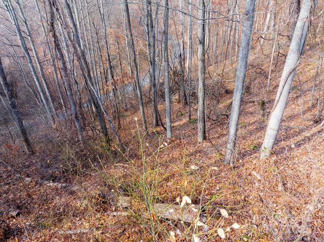 00 Seven Glens Drive 171, Weaverville, NC 28787