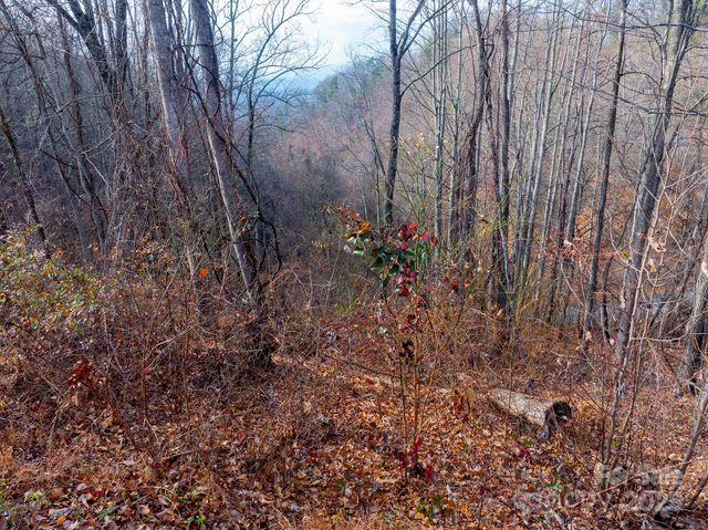 00 Seven Glens Drive 171, Weaverville, NC 28787