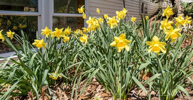 8937 S Indian Hills Road, Montague, MI 49437