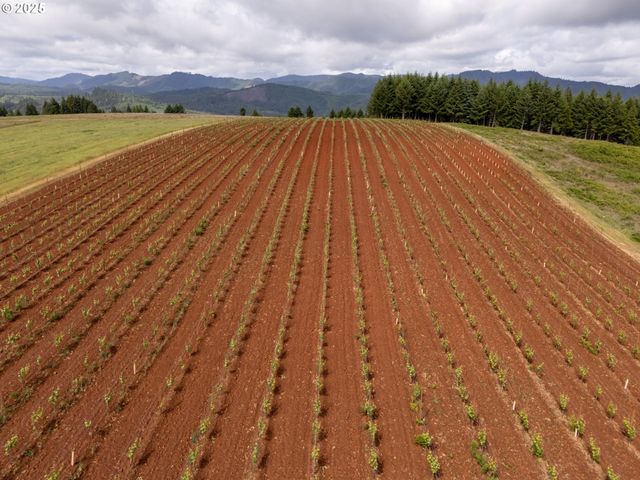 1066 RED HILL Rd, Oakland, OR 97462