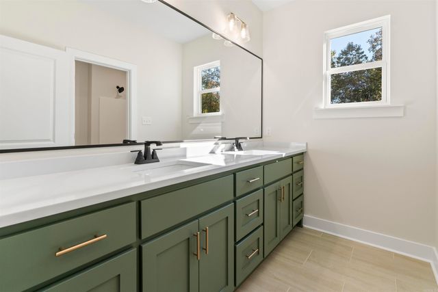 265 Middleton Place Drive, Benton, AR 72019