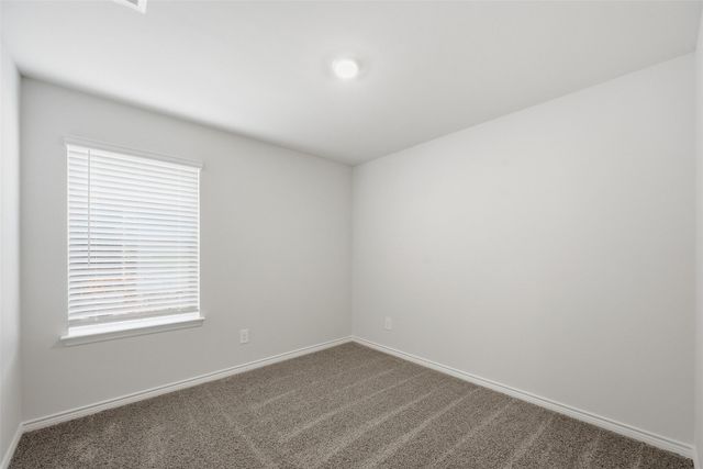 1315 Hopes Lake Drive, Princeton, TX 75407