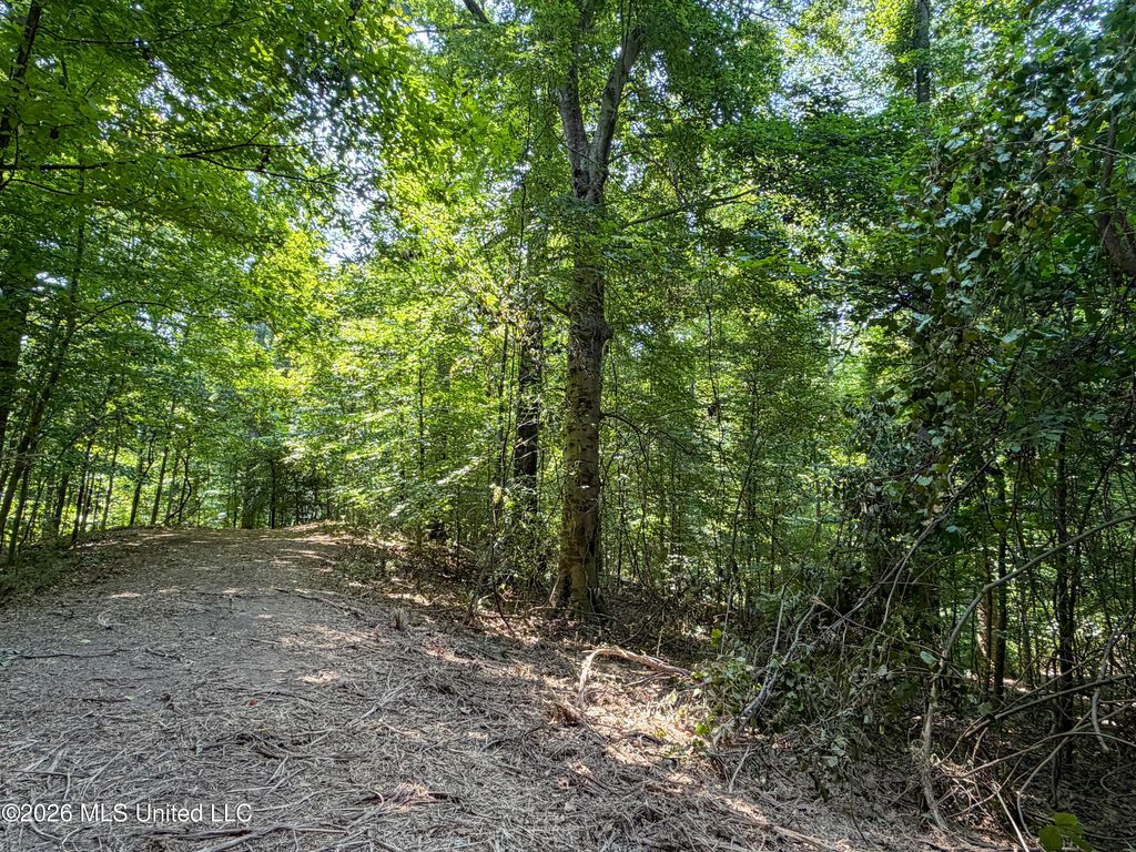 Tanyard Road, Hernando, MS 38632 — photo 3