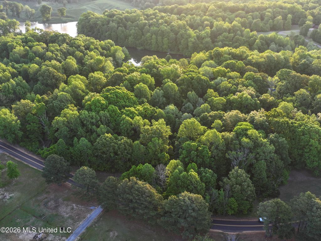 Tanyard Road, Hernando, MS 38632 — photo 4