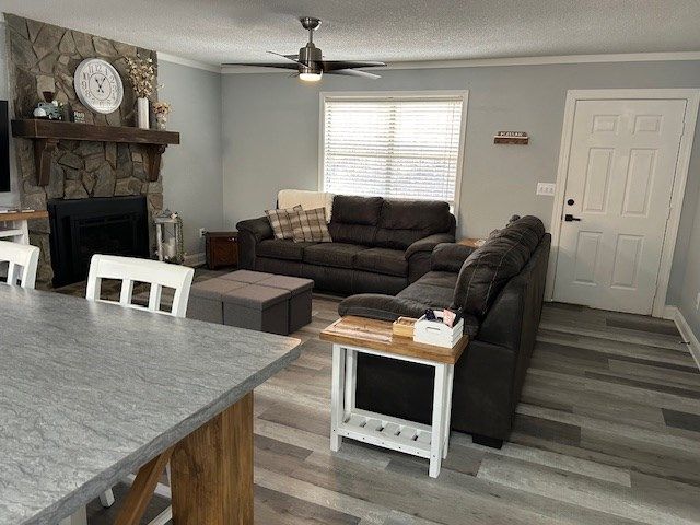 151 Padget Lane, Ellijay, GA 30540