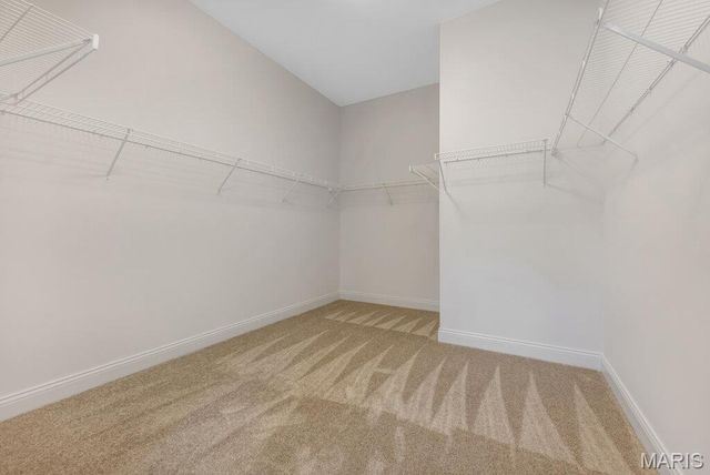310 Red Wing Court, Troy, MO 63379