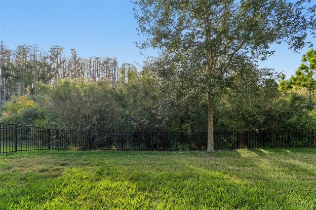 4155 BARLETTA COURT, Wesley Chapel, FL 33543
