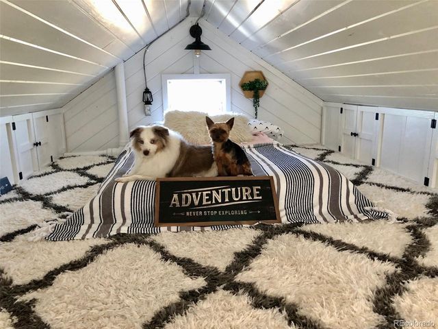 27028 Garo Park Dr, Blanca, CO 81123