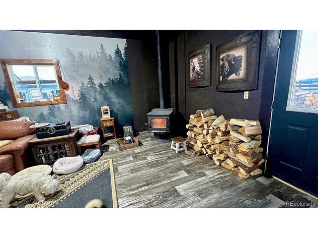 27028 Garo Park Dr, Blanca, CO 81123