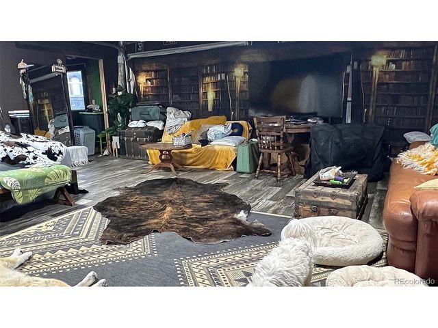 27028 Garo Park Dr, Blanca, CO 81123