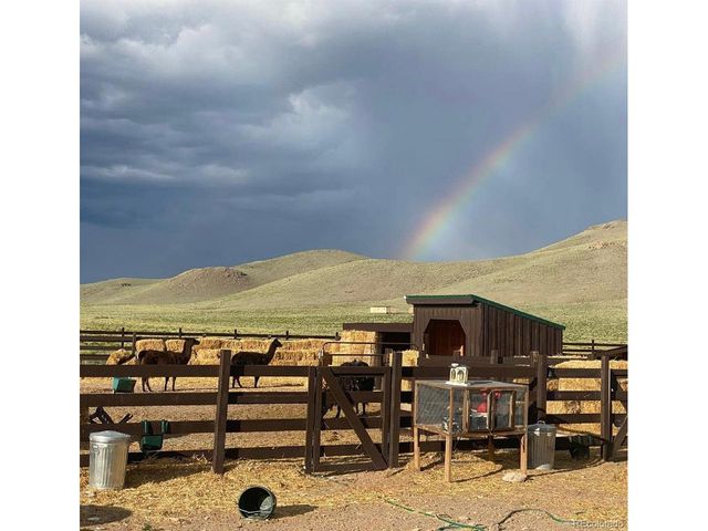 27028 Garo Park Dr, Blanca, CO 81123