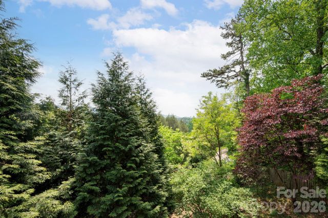 321 Barnard Avenue, Asheville, NC 28804