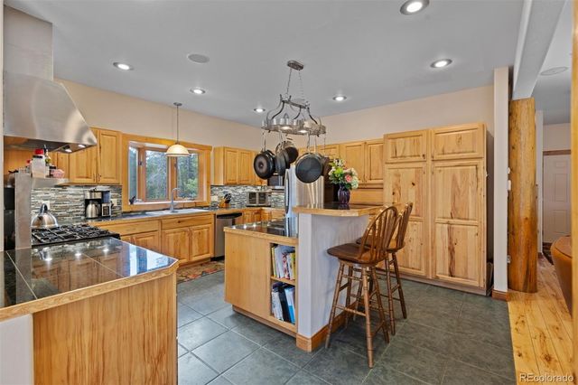 64 Baby Doe Drive, Leadville, CO 80461