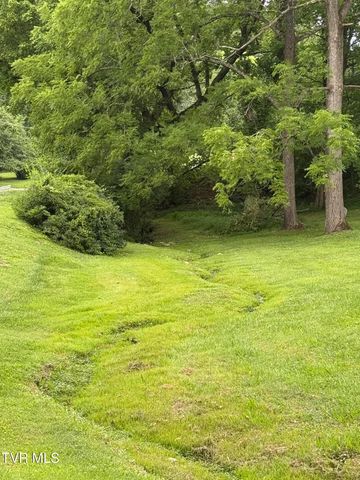 255 Riverview Drive, Johnson City, TN 37601