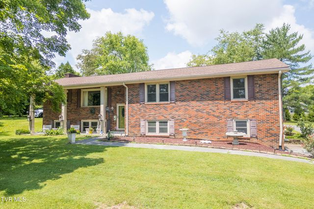 255 Riverview Drive, Johnson City, TN 37601